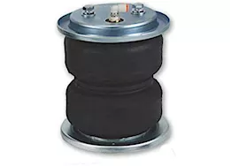 Air Lift Company Replacement bag