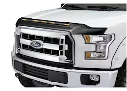 Auto Ventshade 15-20 f150 aeroskin lightshield