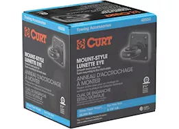 Curt Mount-Style Lunette Eye