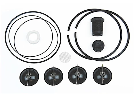 Fill-Rite REBUILD KIT, SERIES 5200