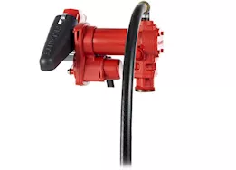 Fill-Rite 15 gpm, 12v dc pump, 3/4in x 12ft hose, 3/4in automatic nozzle (unleaded spout & red cover)