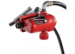 Fill-Rite 12v dc 8 gpm fuel transfer pump w/ hose/manual nozzle/suction pipe/15ft power cable