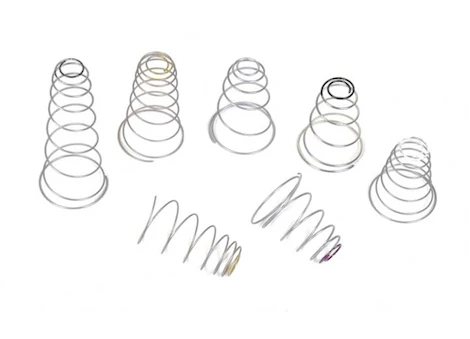 Holley Sec diaphram spring kit Main Image