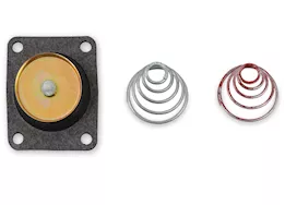 Holley Diaph repair kit