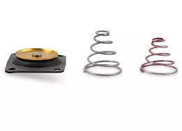 Holley Diaph repair kit