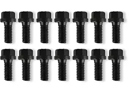 Mr. Gasket Co. Header bolt kit