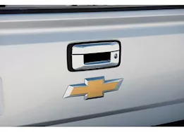 Putco Tailgate Handle Cover