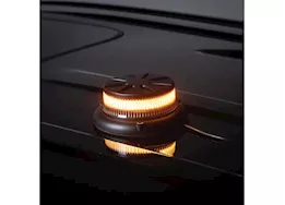 Putco Hornet beacon (amber/white)