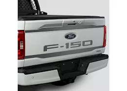 Putco 21-23 f150 tailgate lettering emblems (cut letters/stainless steel)