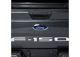 Putco 21-23 f150 tailgate lettering emblems (cut letters/stainless steel)