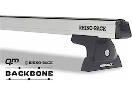 Rhino-Rack USA Heavy duty rlt600 silver 2 bar rhino-rack backbone roof rack