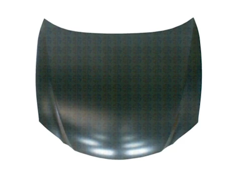 Sherman Parts CAPA HOOD PANEL ASSY ALL LEXUS ES350 07-12