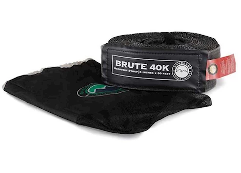 Overland Vehicle Systems TOW STRAP 4IN X 30FT GRAY W/BLACK ENDS & STORAGE BAG