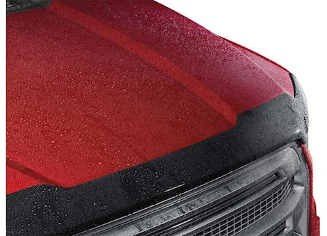 WeatherTech 22-C PASSPORT HOOD SKIN PROTECTOR BLACK