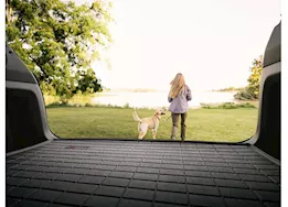 WeatherTech 23-c pilot cargo liners black