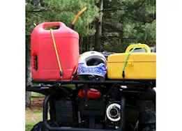 Winston Products - SmartStraps/CargoSmart/TowSmart 5 pc super strong bungee assortment