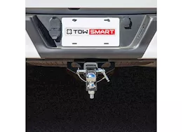 Winston Products - SmartStraps/CargoSmart/TowSmart Class ii 3500lb x-mount 2-1/2in drop, 2in rise, 3/4in shank