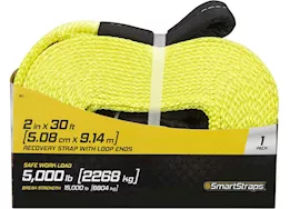 Winston Products - SmartStraps/CargoSmart/TowSmart 2in x 30ft 15,000lb recovery strap w/loop ends