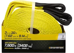 Winston Products - SmartStraps/CargoSmart/TowSmart 3in x 30ft  22,500lb recovery strap w/loop ends